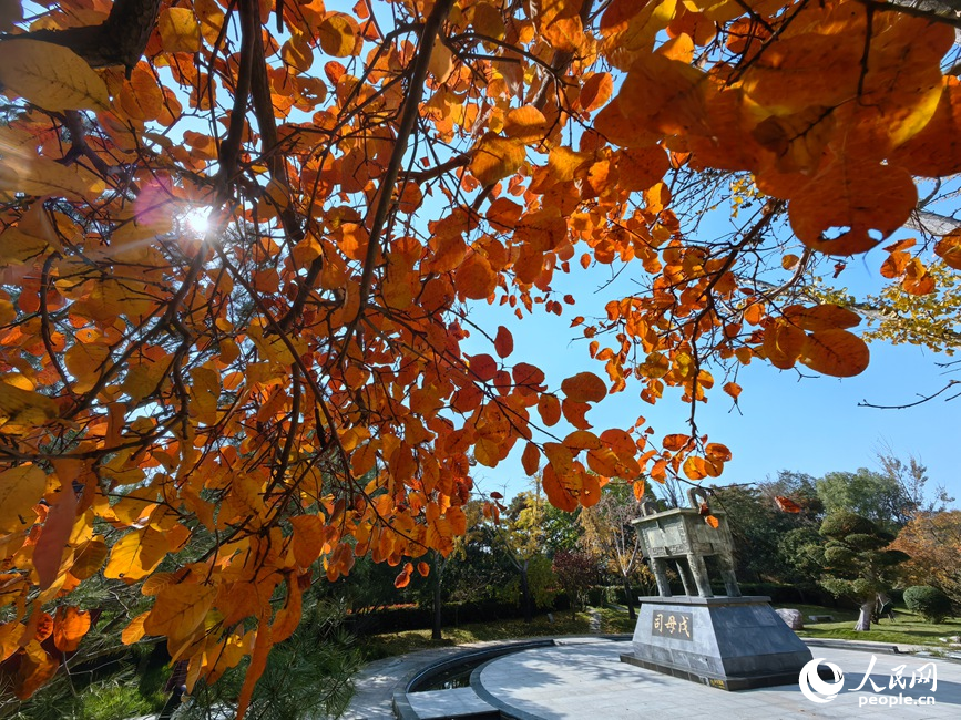 赏秋正当时。人民网记者 宋芳鑫摄