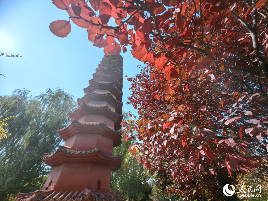 赏秋正当时。人民网记者 宋芳鑫摄
