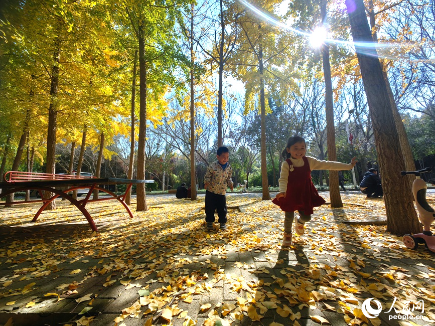 红黄交织出秋天的美景。人民网记者 宋芳鑫摄