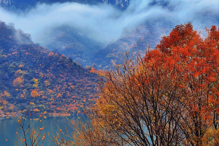 河南焦作：初冬云台 宛如仙境