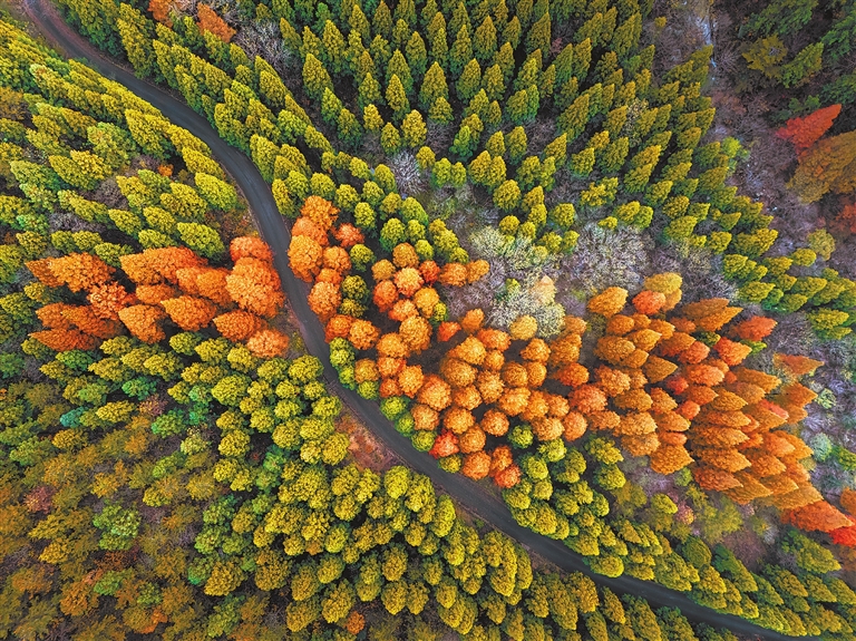 黄柏山林海斑斓 美景如画