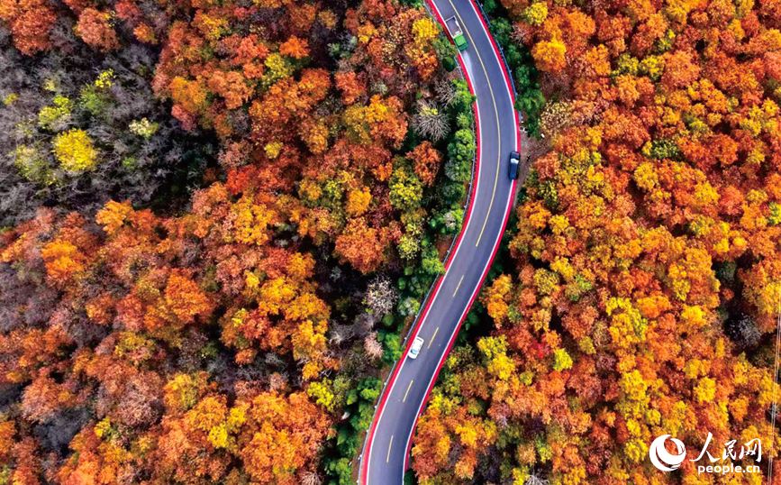 济源南山产业旅游路。人民网记者 王玉兴摄