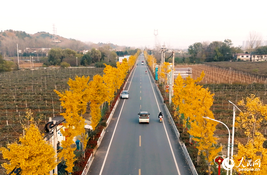 西峡Y009大简线黄狮村路段。人民网记者 王玉兴摄