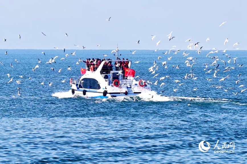 一群红嘴鸥追着船尾翻飞。人民网 程明辉摄