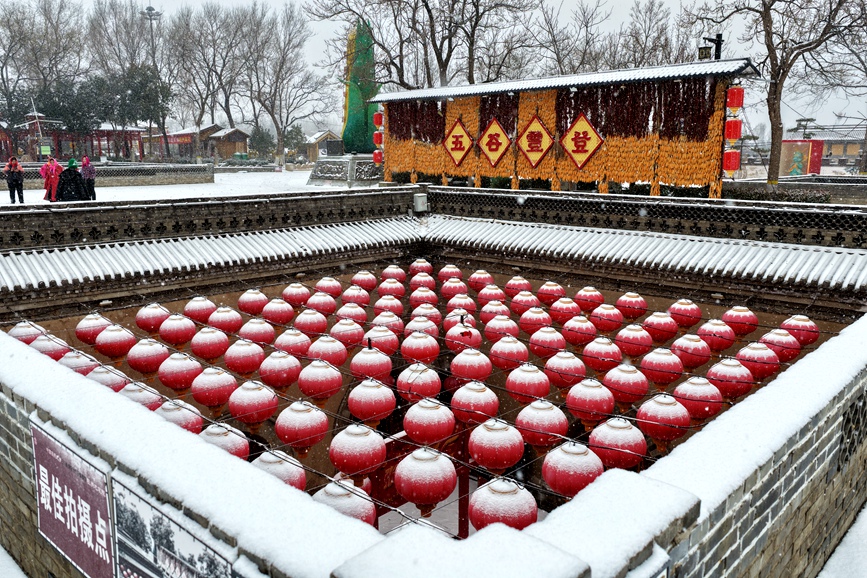 白雪和地坑院悬挂的红灯笼相映成趣。何东阁摄
