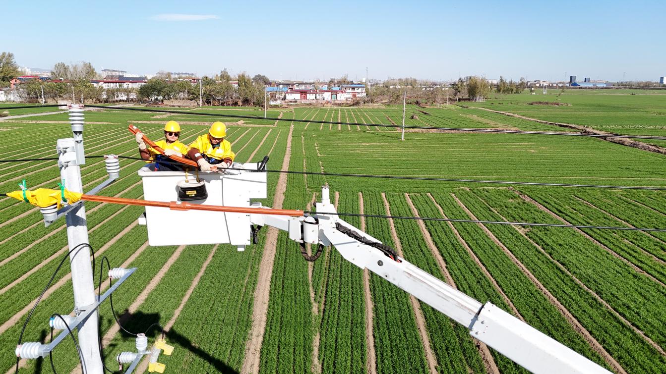 国网鹤壁供电公司供图