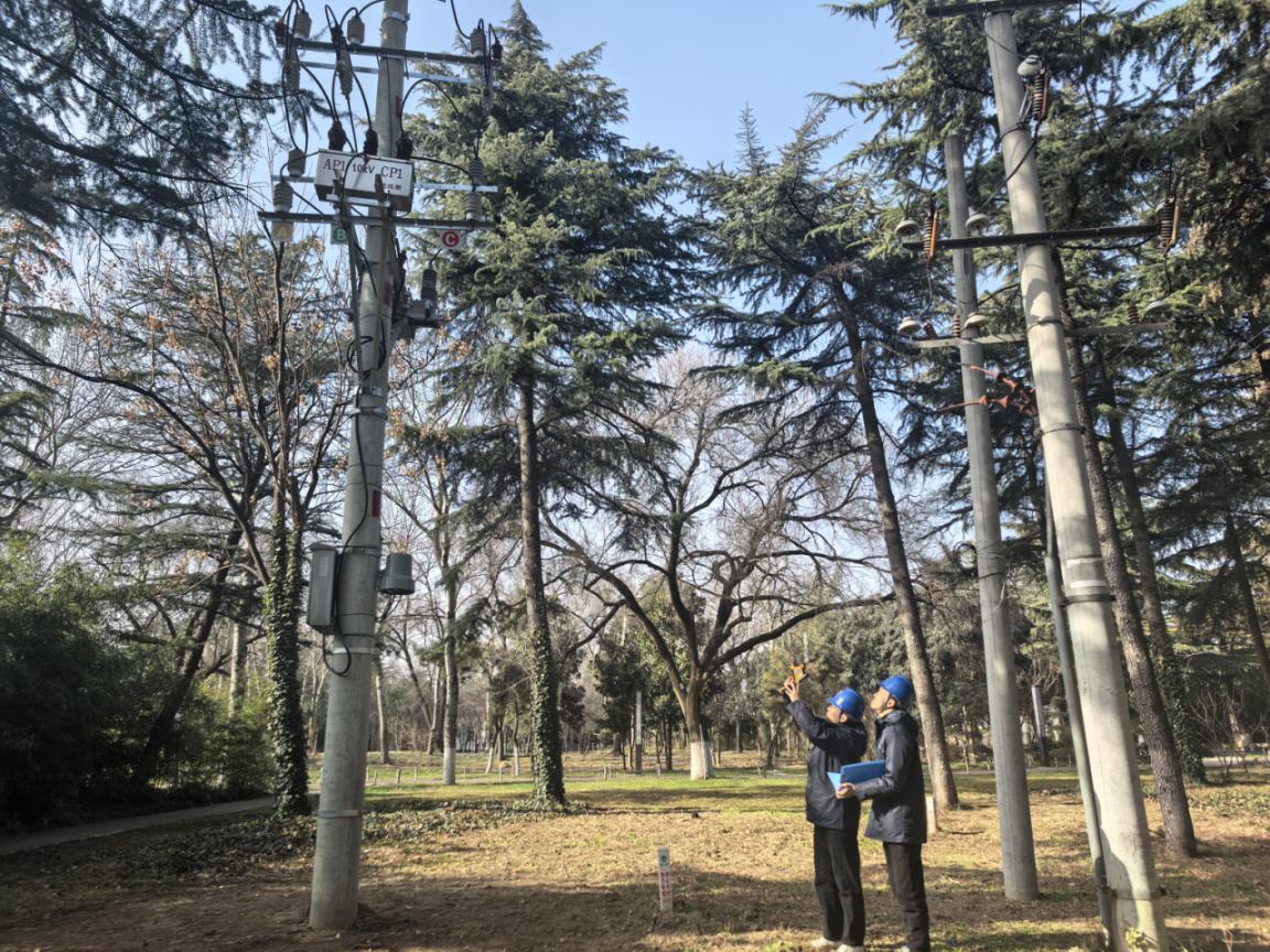 冰雪天鹅至，保电暖意浓。国网三门峡供电公司供图