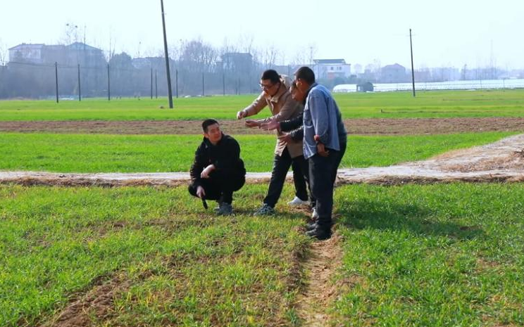 商城县：农技服务下沉 护航冬粮安全