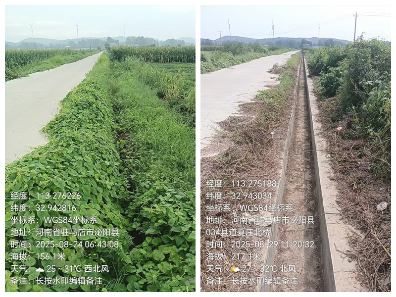 红河村村口丁字路口水渠修整前后对比图。驻马店市委督查室供图