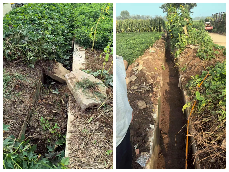红河村北正东方向至石门水库西侧水渠修整前后对比图。驻马店市委督查室供图