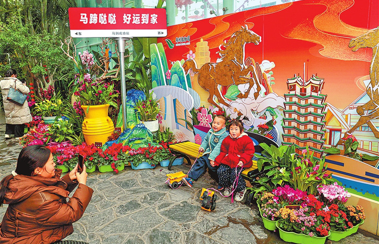 郑州植物园迎春花展