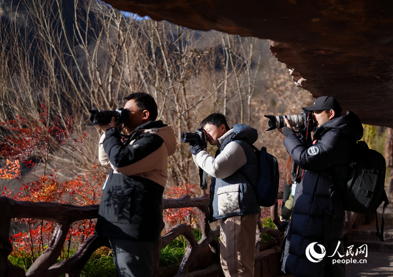 人民拍客在云台山景区创作。王楠杰摄