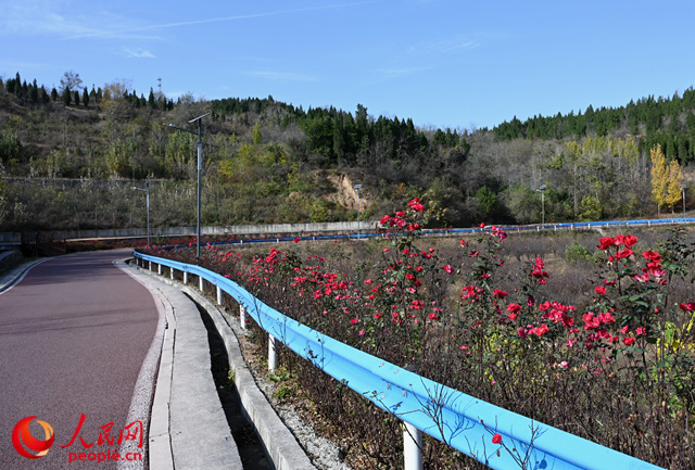 济源农村公路。人民网记者 王玉兴摄