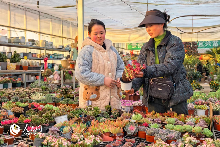 王利蔓（右）为顾客介绍多肉栽培技巧。人民网 程明辉摄