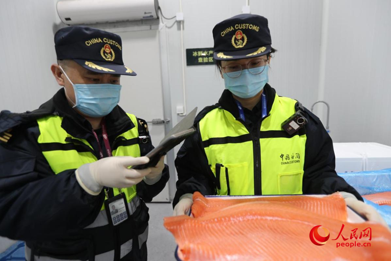 海关工作人员对三文鱼进行查验。人民网记者 霍亚平摄