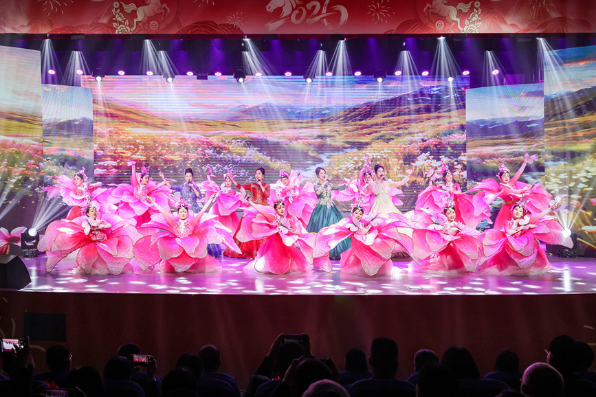 鲁山县2026年春节联欢晚会现场。郭东伟摄