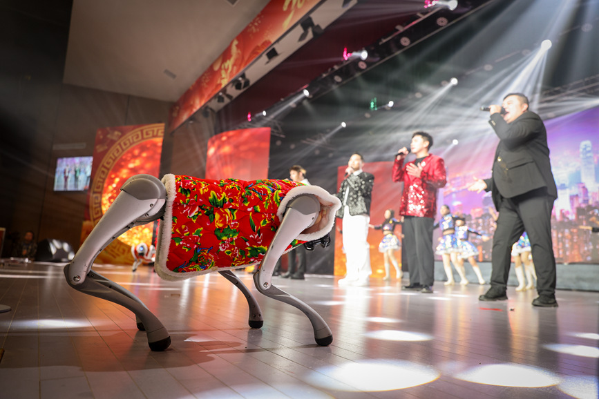 鲁山县2026年春节联欢晚会现场。郭东伟摄