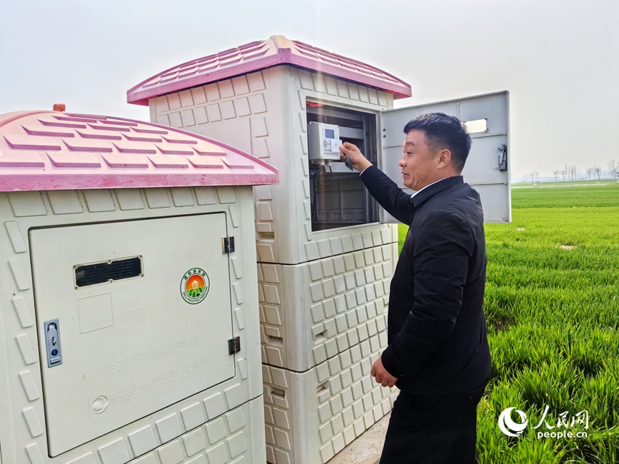 林广付刷卡灌溉。人民网记者 辛静摄