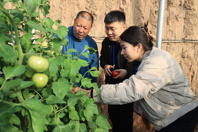 当地纪检监察部门工作人员实地了解大棚收益情况。
