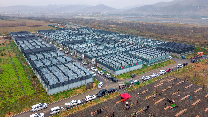 伏牛山兰花产业园。赵明辰摄