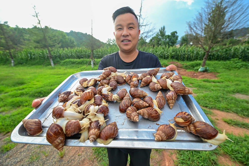 旧县白玉蜗牛。赵明辰摄