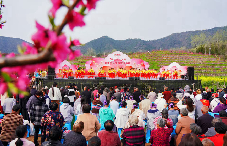 河南淅川：以花为媒激活春日经济