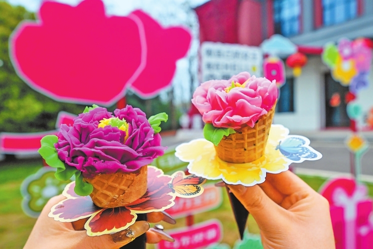 河南洛阳：产业融合旺 牡丹更争春