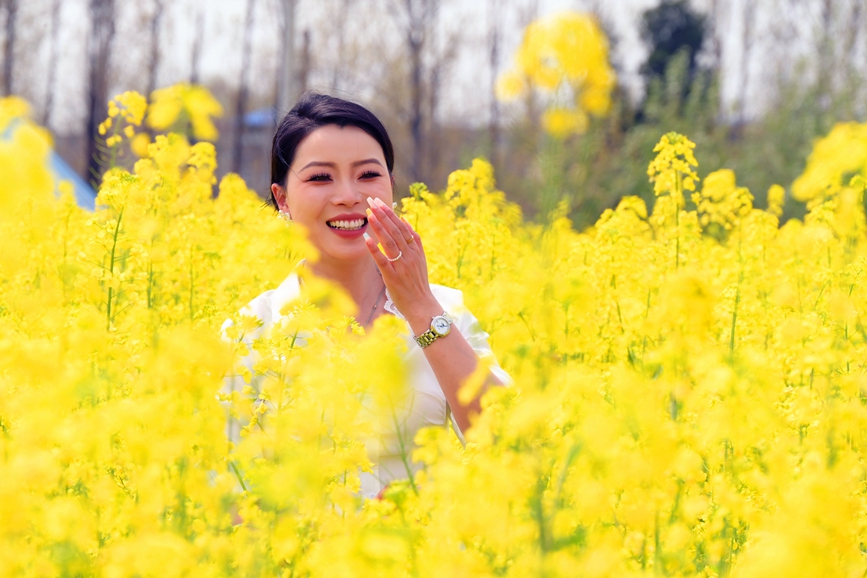 近日，南阳市社旗县乡村沃野百花盛开，吸引游客前来游玩、拍照。申鸿皓摄