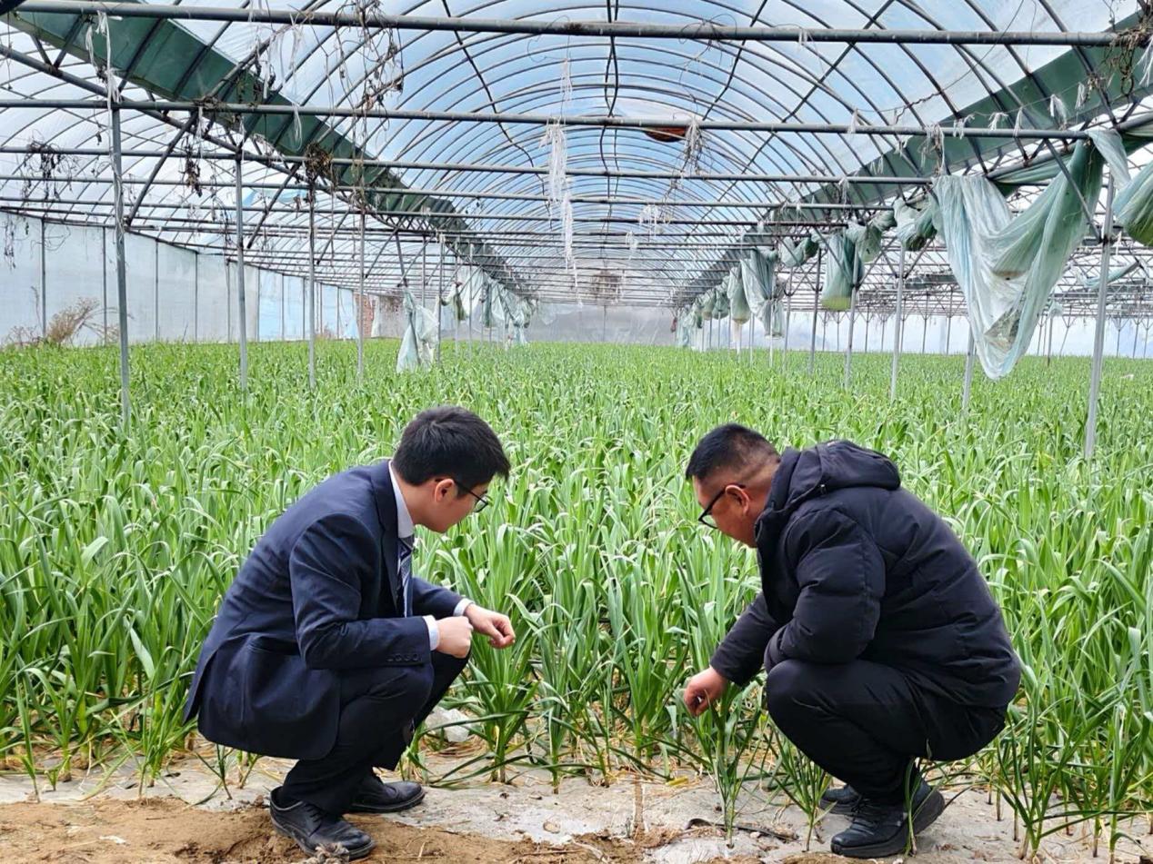 “蒜乡服务专班”逐户摸排。中行河南省分行供图