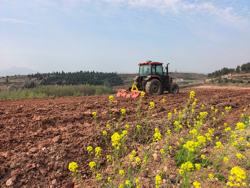 汝阳县刘店镇烟田机械化起垄现场。洛阳市烟草公司汝阳县分公司供图