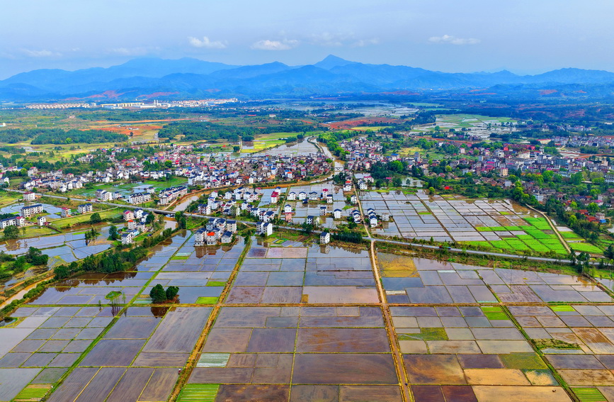 江西乐安：水润田畴 春色斑斓