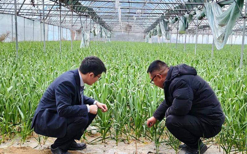 精准滴灌春耕沃野