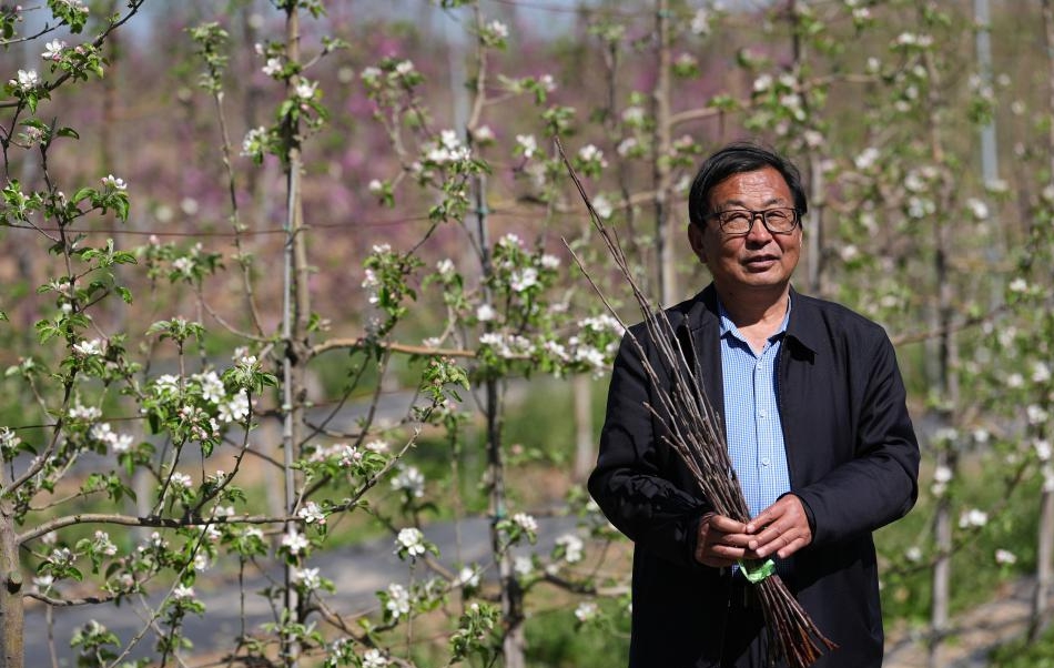 三秦“农科前哨”助农兴农