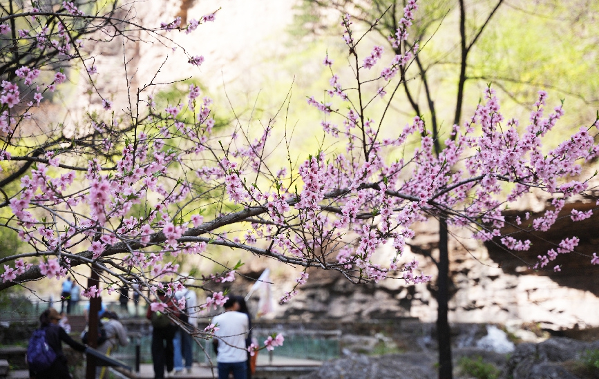 春日太行大峡谷：生态美景引客来