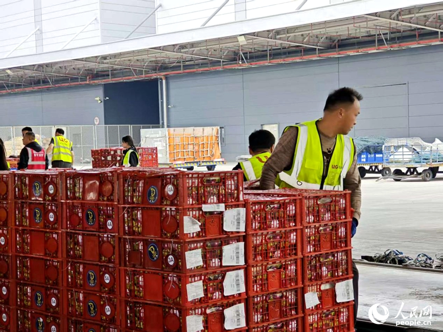 郑州机场北货运区货物运输一片繁忙。人民网记者 杨晓娜摄