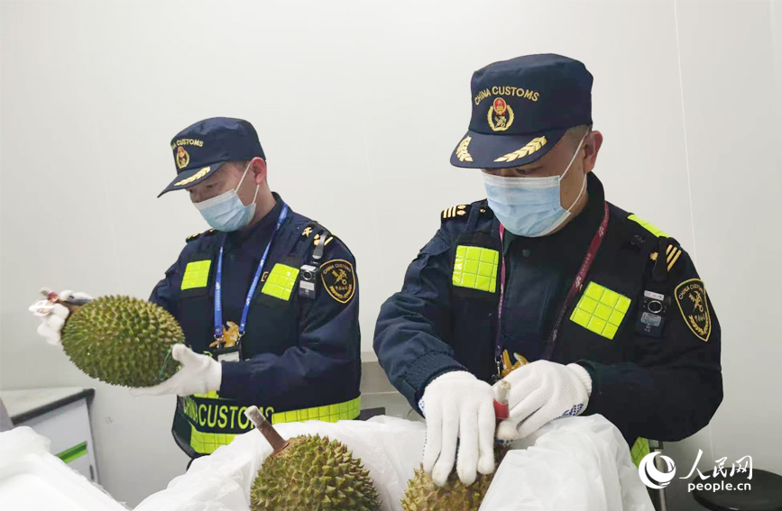 马来西亚鲜果迎来上市旺季  “抢鲜”端上百姓餐桌