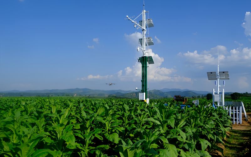 河南三门峡：数智赋能破藩篱 减负增效激活力