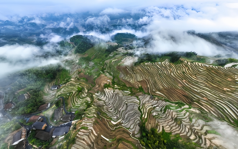 雾漫古梯田