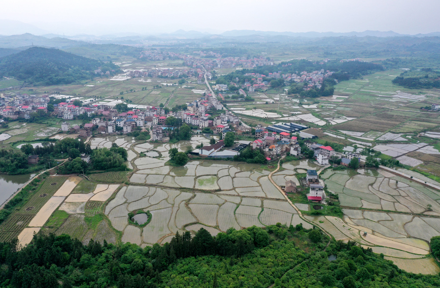 江西莲花：青山映水田 田园绿渐浓