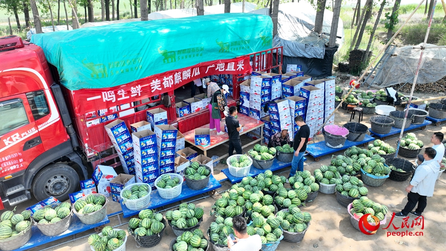 采购商在夏邑采购西瓜。人民网记者 宋芳鑫摄