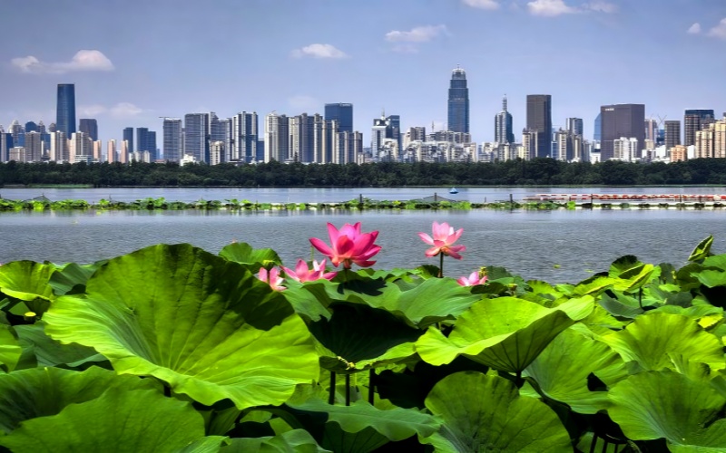 荷风十里东湖夏 碧水长天入画来