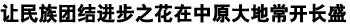 让民族团结进步之花在中原大地常开长盛