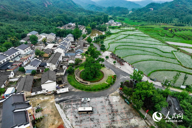 何家冲村貌。人民网记者 戴泽鑫摄