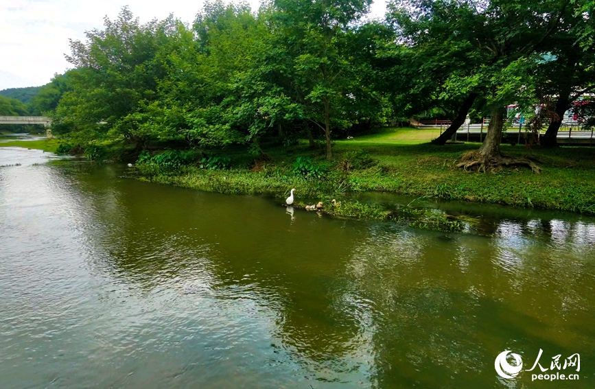 郭家河省级湿地公园风光旖旎。人民网记者 戴泽鑫摄