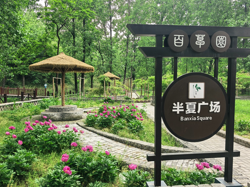 姬庄村百草园。刘振方摄