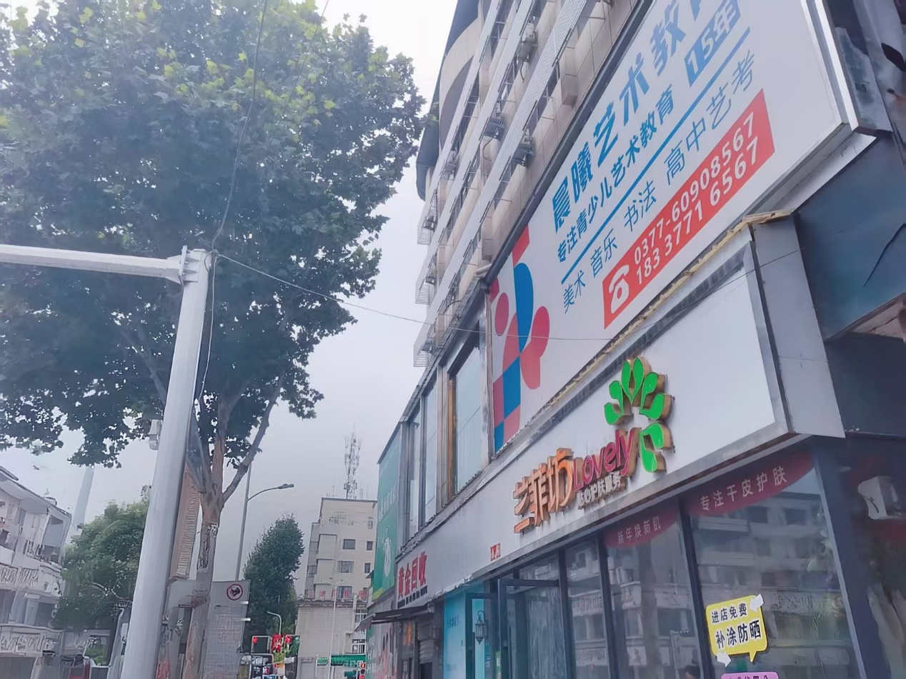 行道树已经超过楼房高度。受访者供图