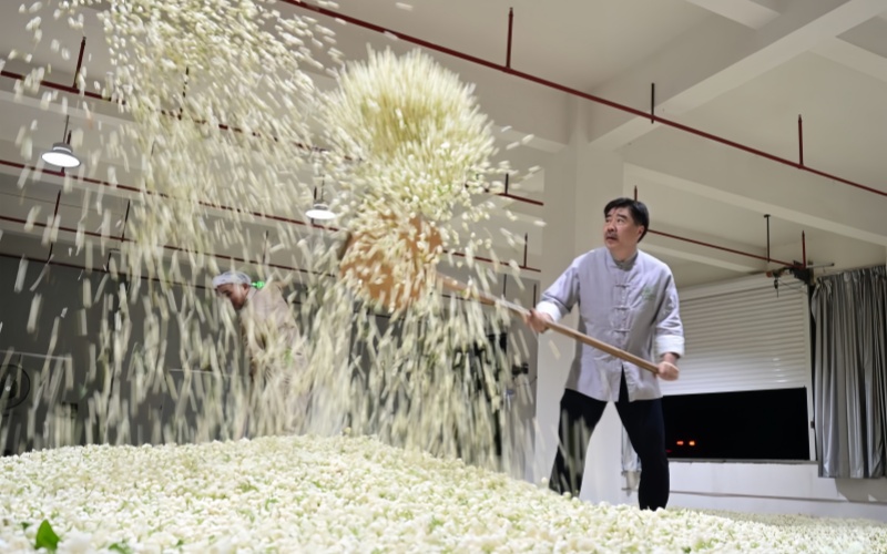 茶香赋能文旅新发展