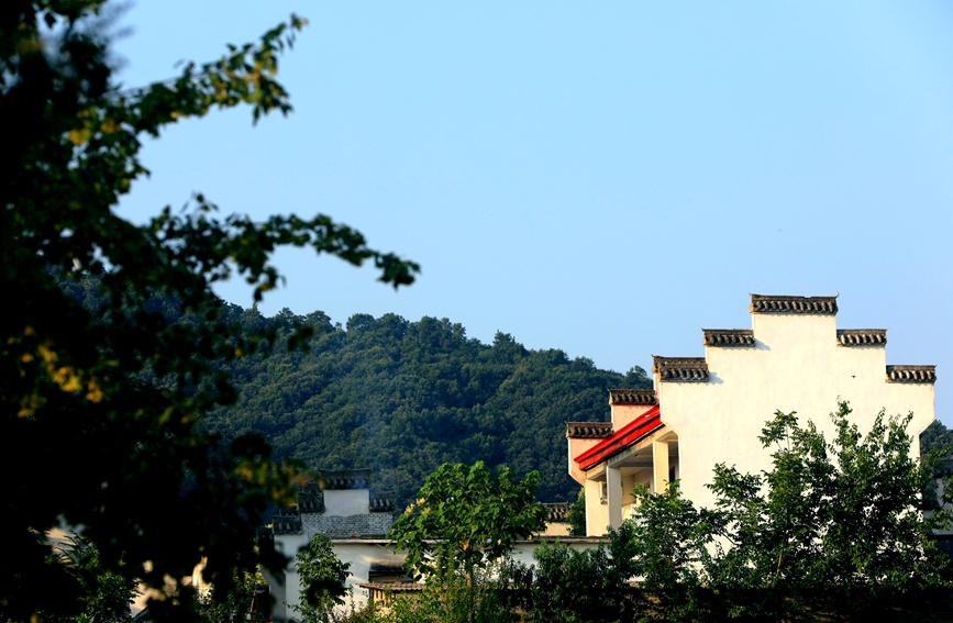 白墙黛瓦民居掩映林间，村落景致秀美如画。人民网记者 辛静摄