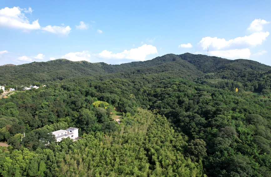 村庄被茂密林木环绕，生态风光秀美。人民网记者 宋芳鑫摄