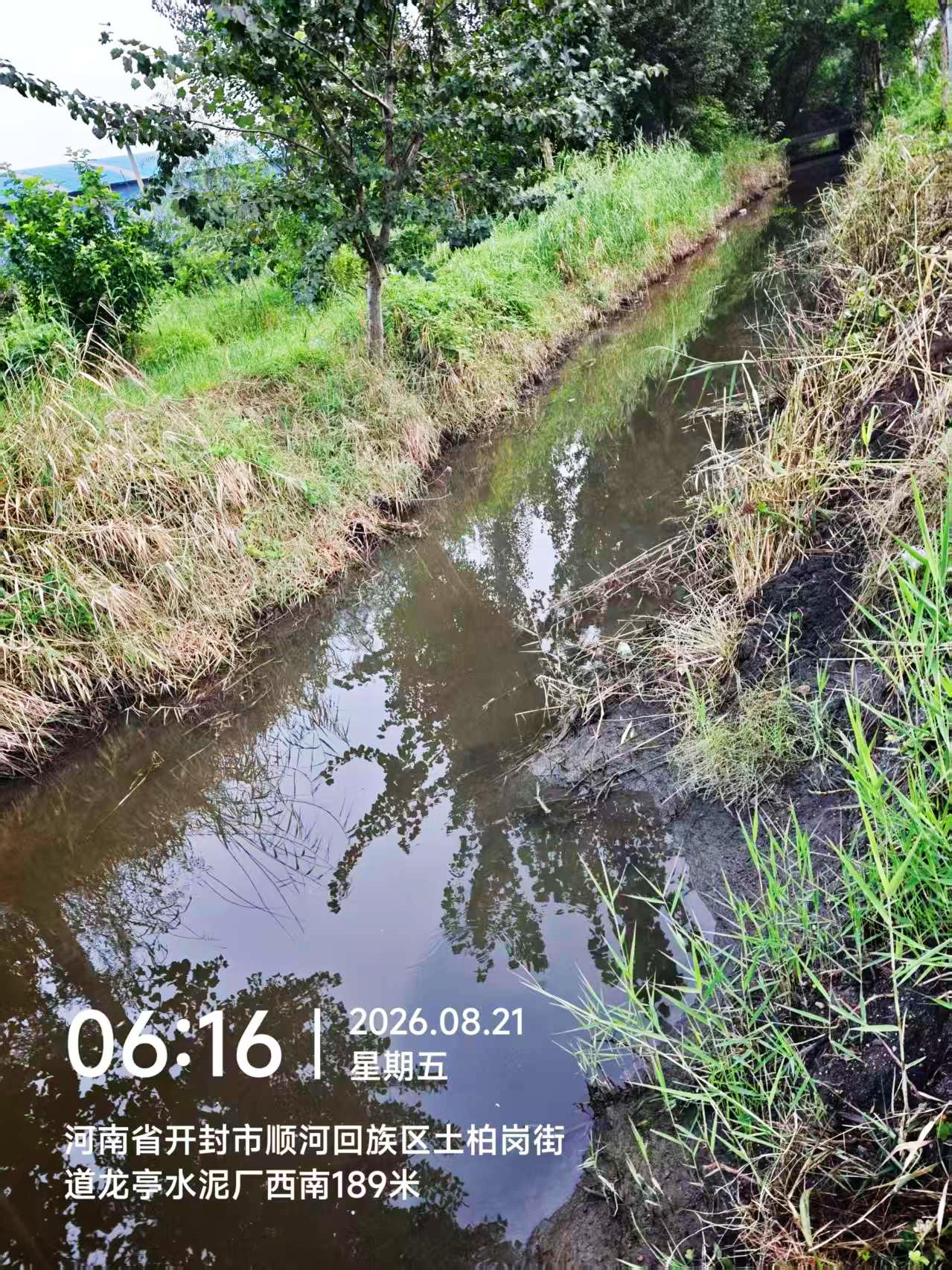 疏通后的河道。开封顺河回族区供图